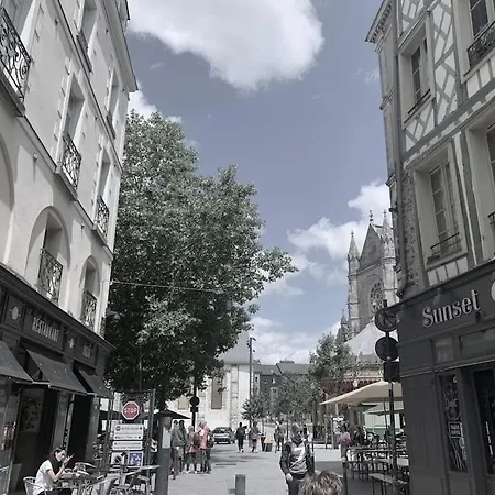 Cosy En Plein Centre Historique De رينز